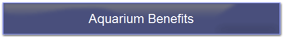 Aquarium Benefits