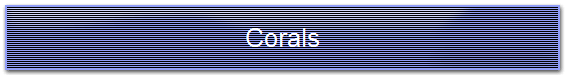 Corals