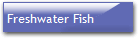 Freshwater Fish