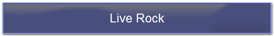 Live Rock