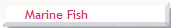 Marine Fish