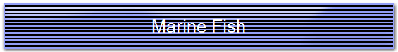 Marine Fish
