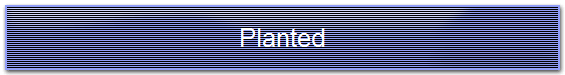 Planted