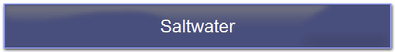 Saltwater