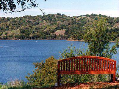 Photo by Brigit Suslow - Lafayette Reservoir California